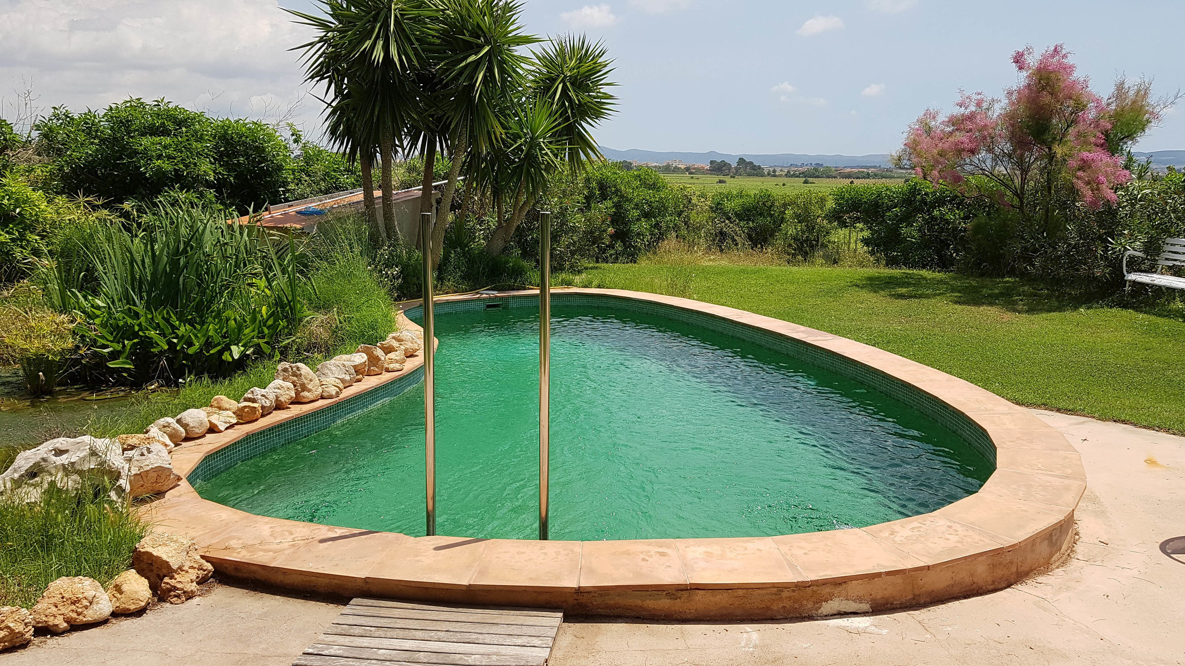 seasonal outdoor pool, pool loungers