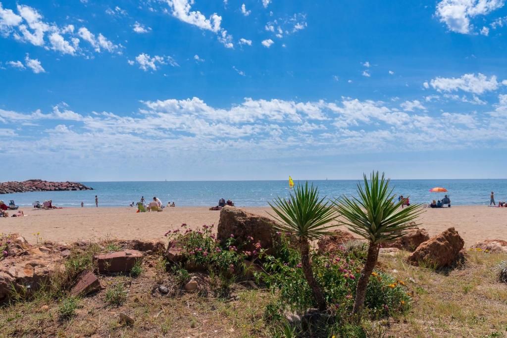 Una playa con rocas, una palmera y gente relajándose.