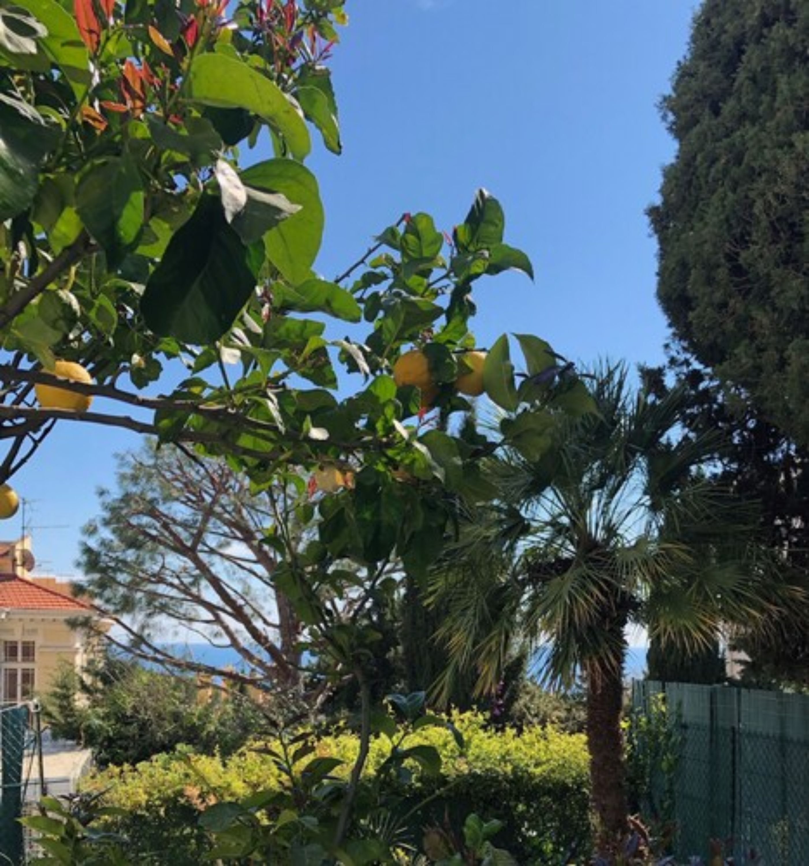 Foto - Hotel Normandy