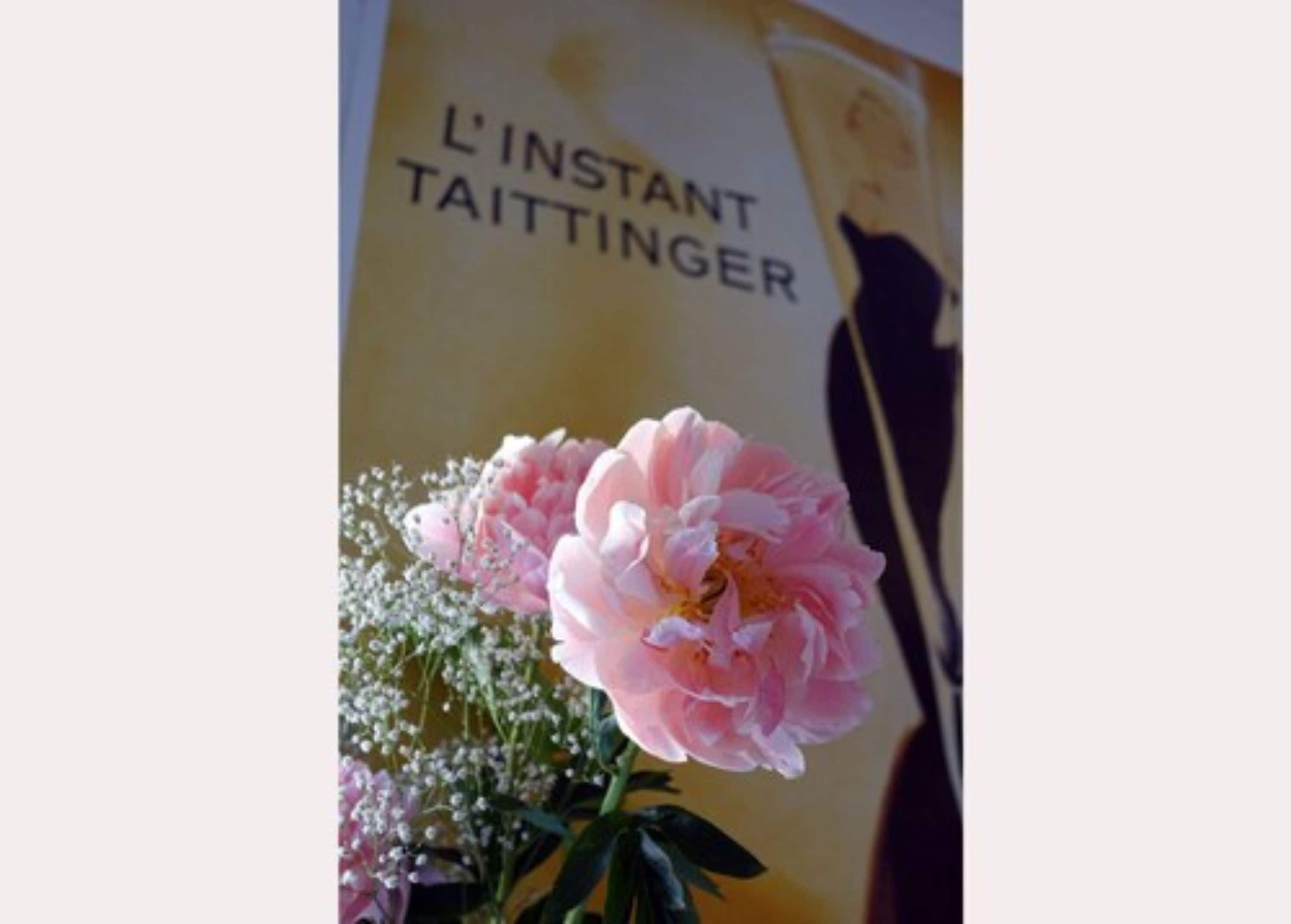 Foto - Hotel Normandy