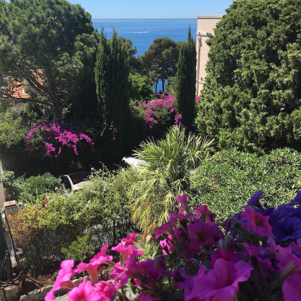 Hotel Normandy by null