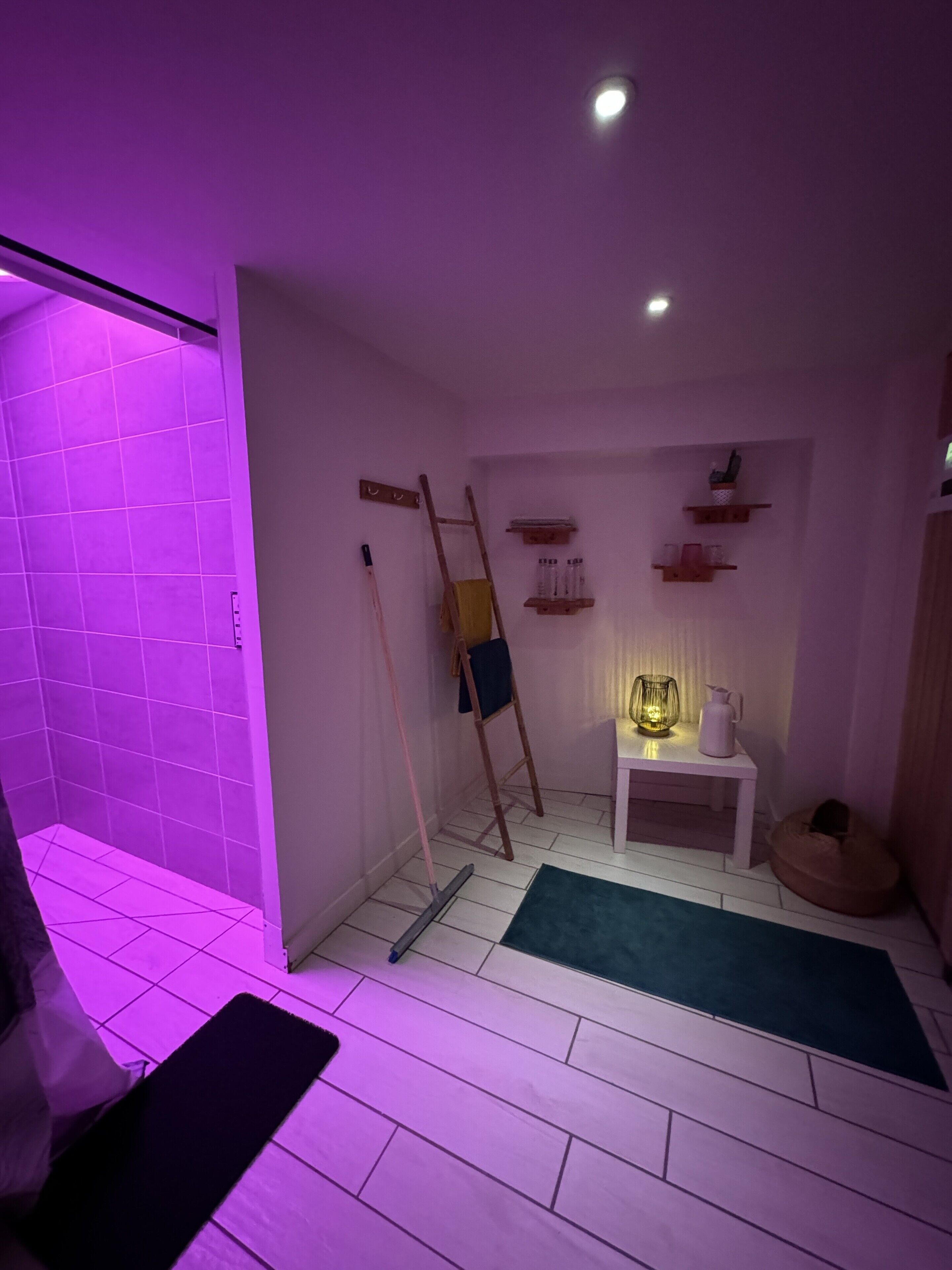 A room with a purple-lit shower, a wooden ladder, a small table with a lamp, and a pet bed.