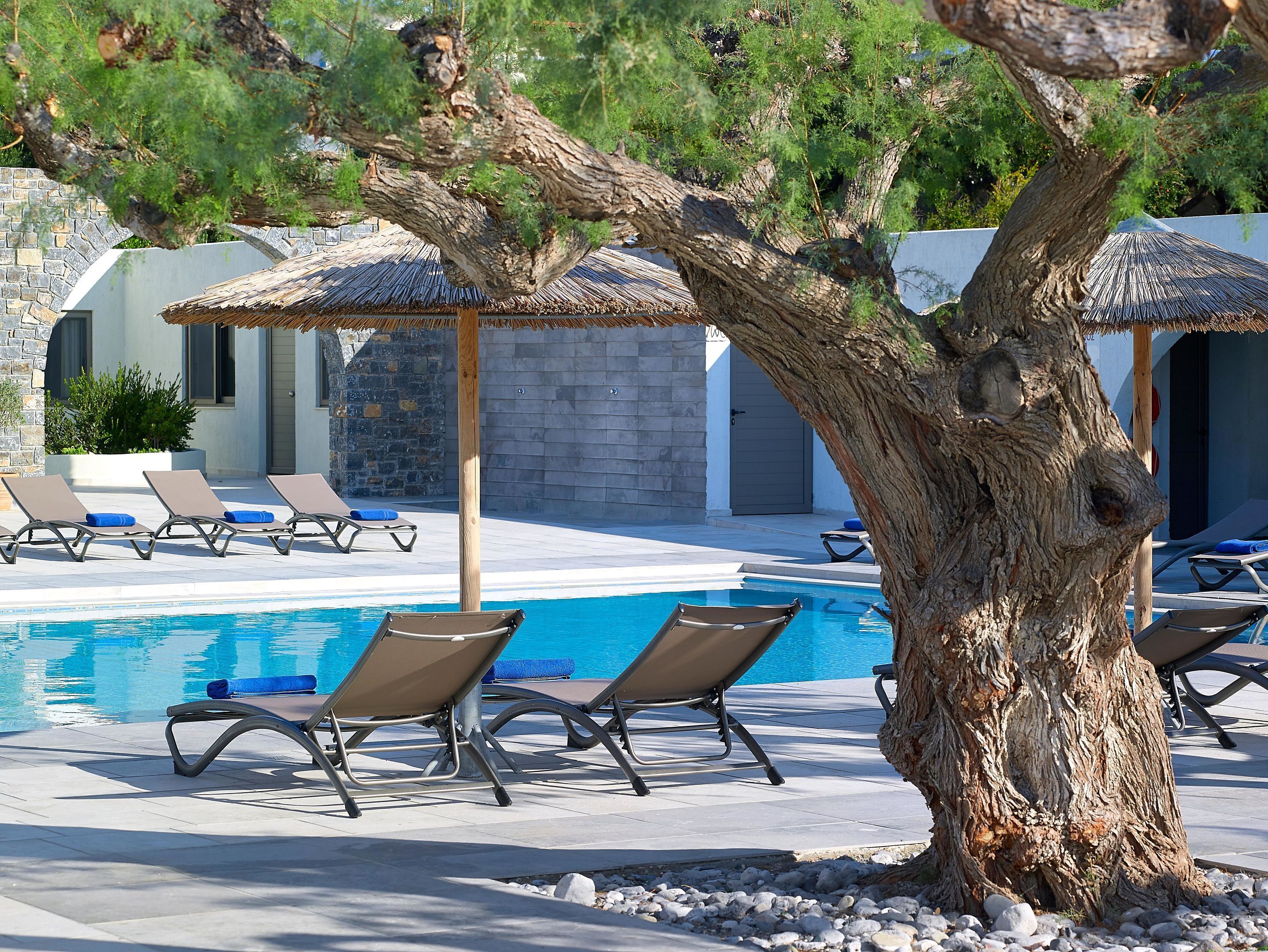 A poolside area with lounge chairs, a tree, and a stone building in the background.