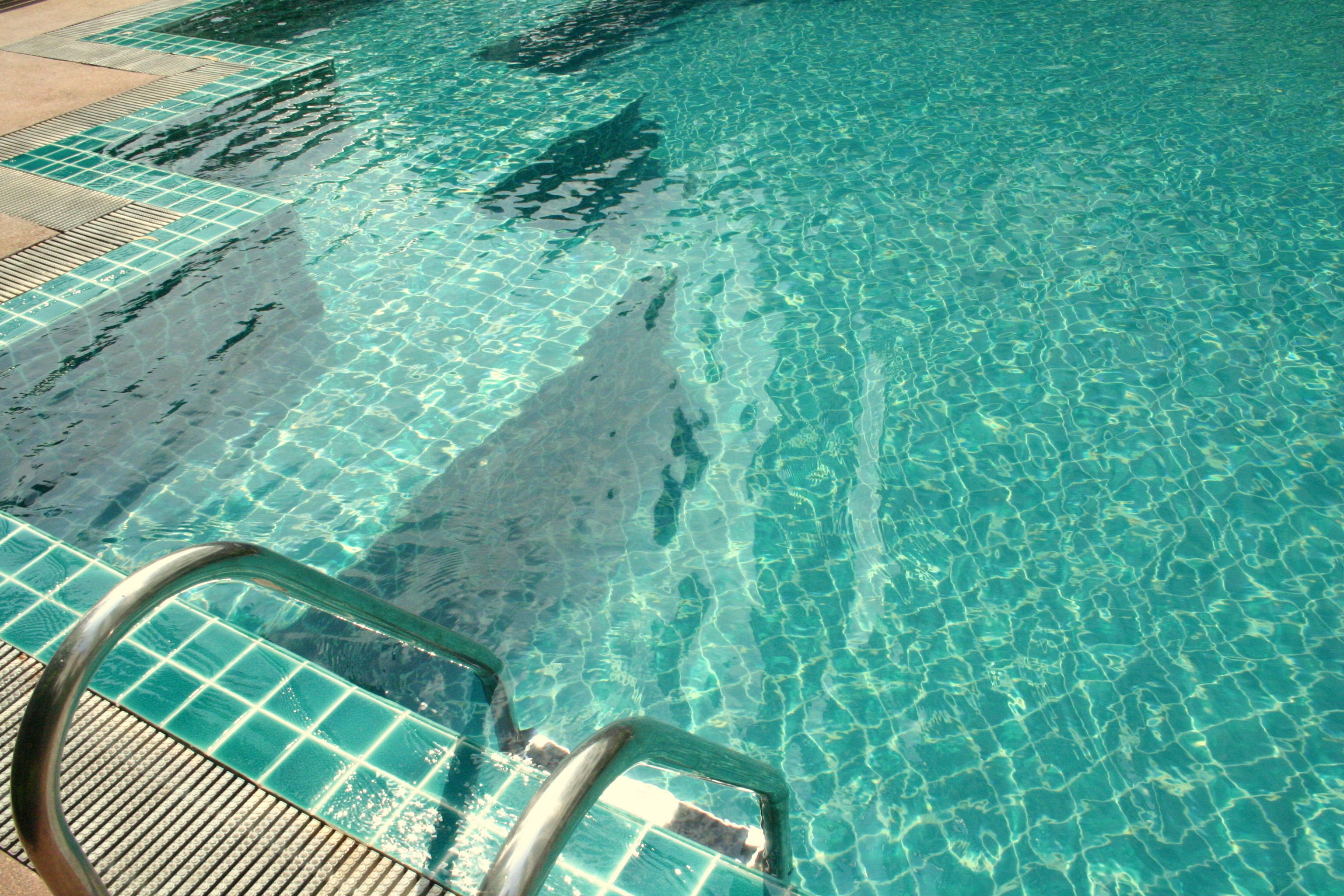 Outdoor pool, open 7:00 AM to 7:00 PM, pool umbrellas