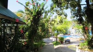 A pathway leading to a pool area surrounded by lush greenery and potted plants. - Seashore Beach Resort (Puerto Galera)