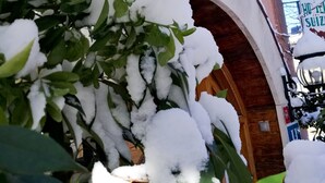 未分類圖片，第 3 張 (共 42 張)，按鈕