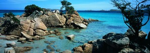 En klippefyldt kystlinje med klart vand og træer.