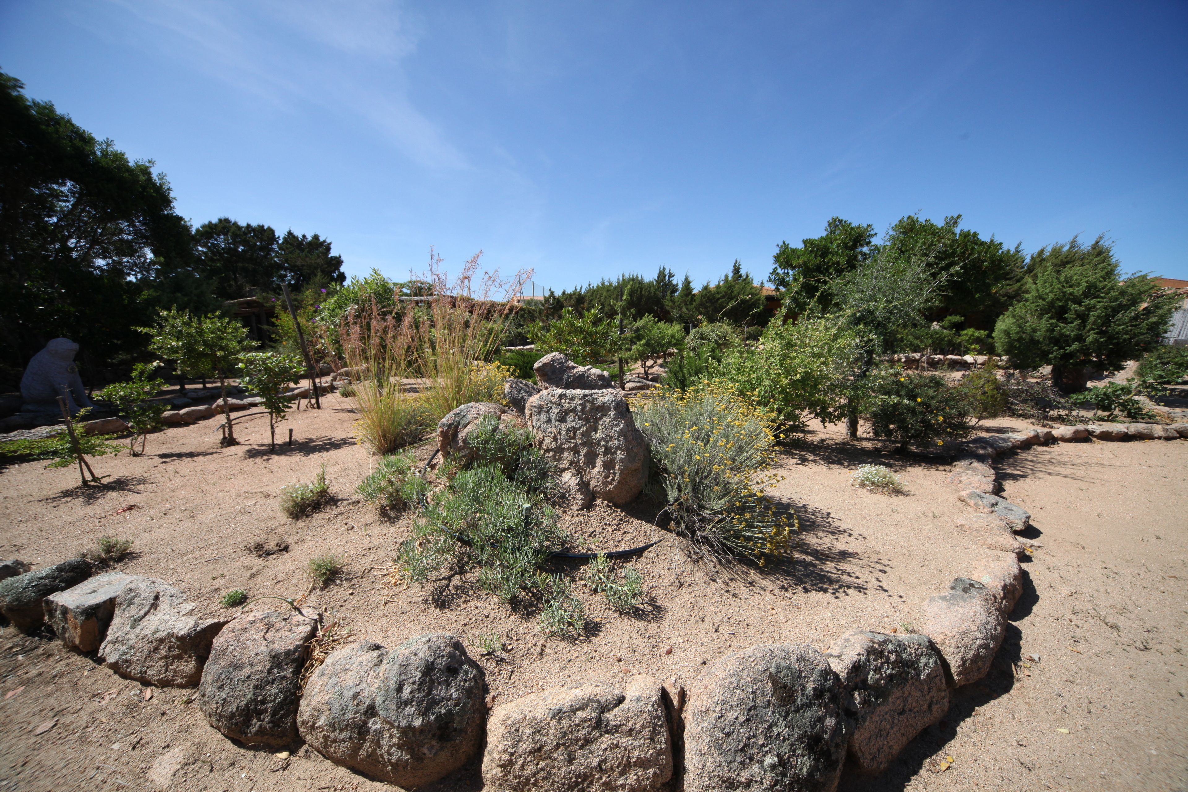 Un paysage naturel caractérisé par une végétation variée, comprenant des arbres et des arbustes, ainsi que par un terrain rocheux.