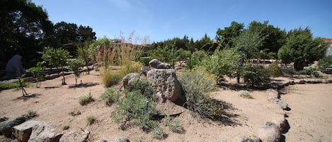 Un paysage naturel caractérisé par une végétation variée, comprenant des arbres et des arbustes, ainsi que par un terrain rocheux.
