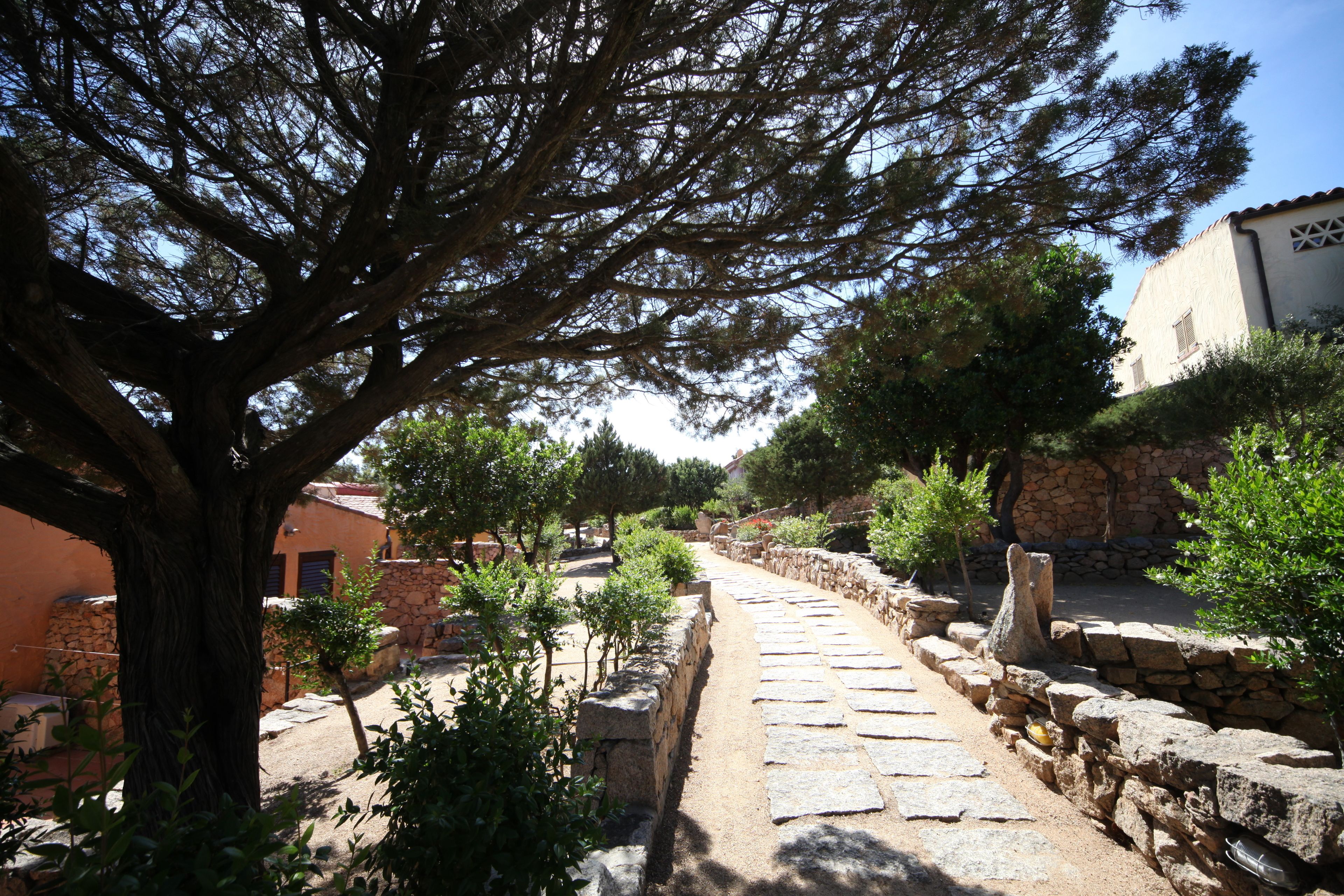 A stone pathway leading through a courtyard with a large tree and stone walls.