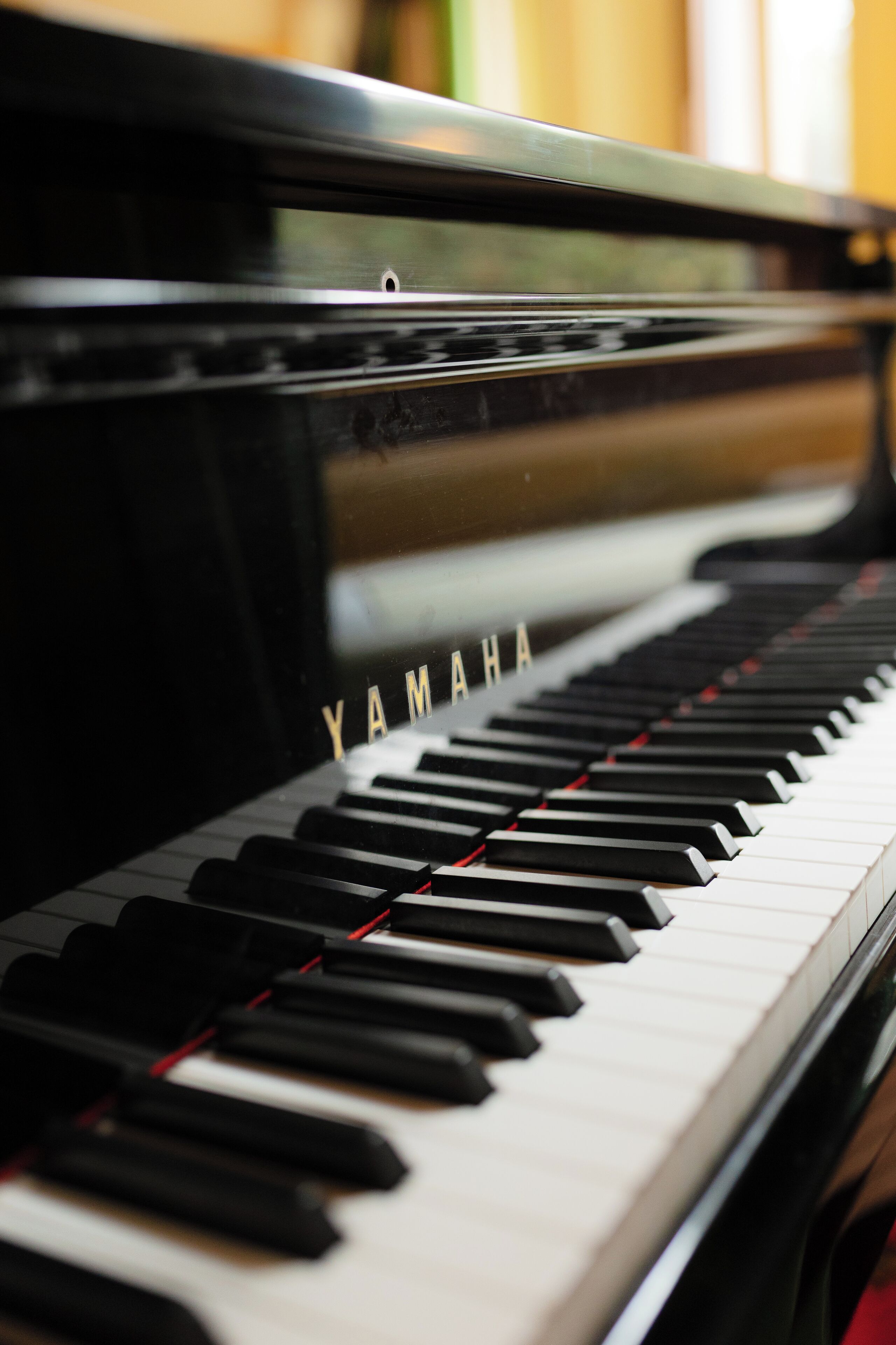 dinner served, local cuisine, garden views