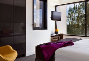 Vista desde la habitación