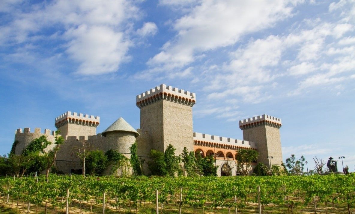 Un castillo con múltiples torres y un viñedo en primer plano.