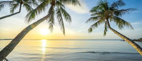 Ein Strand mit Palmen und einem Sonnenuntergang.