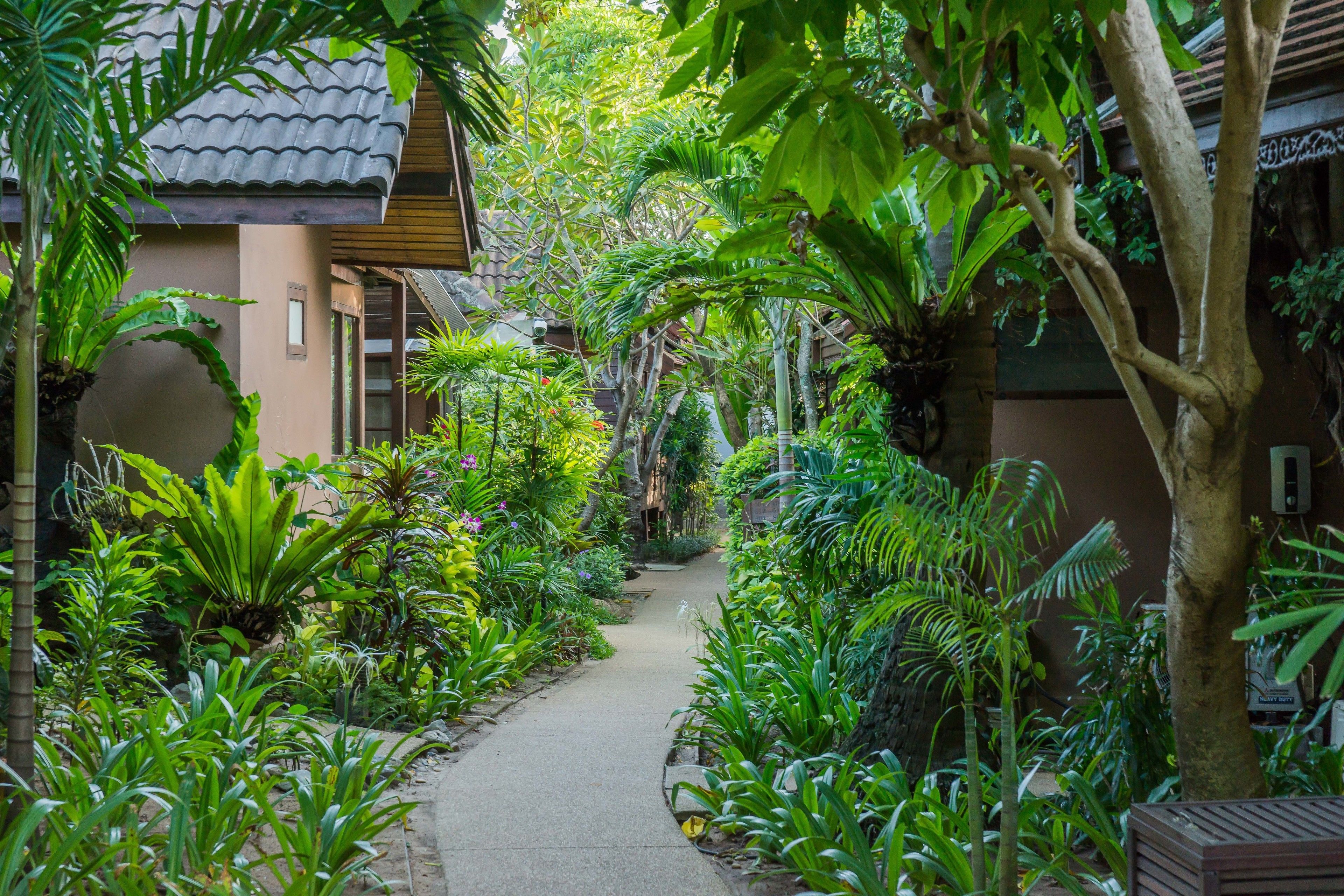 grand villa | garden view