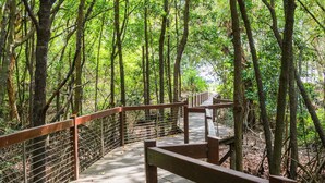 A wooden boardwalk with metal railings through a forested area. - The Sebel Palm Cove (Palm Cove)