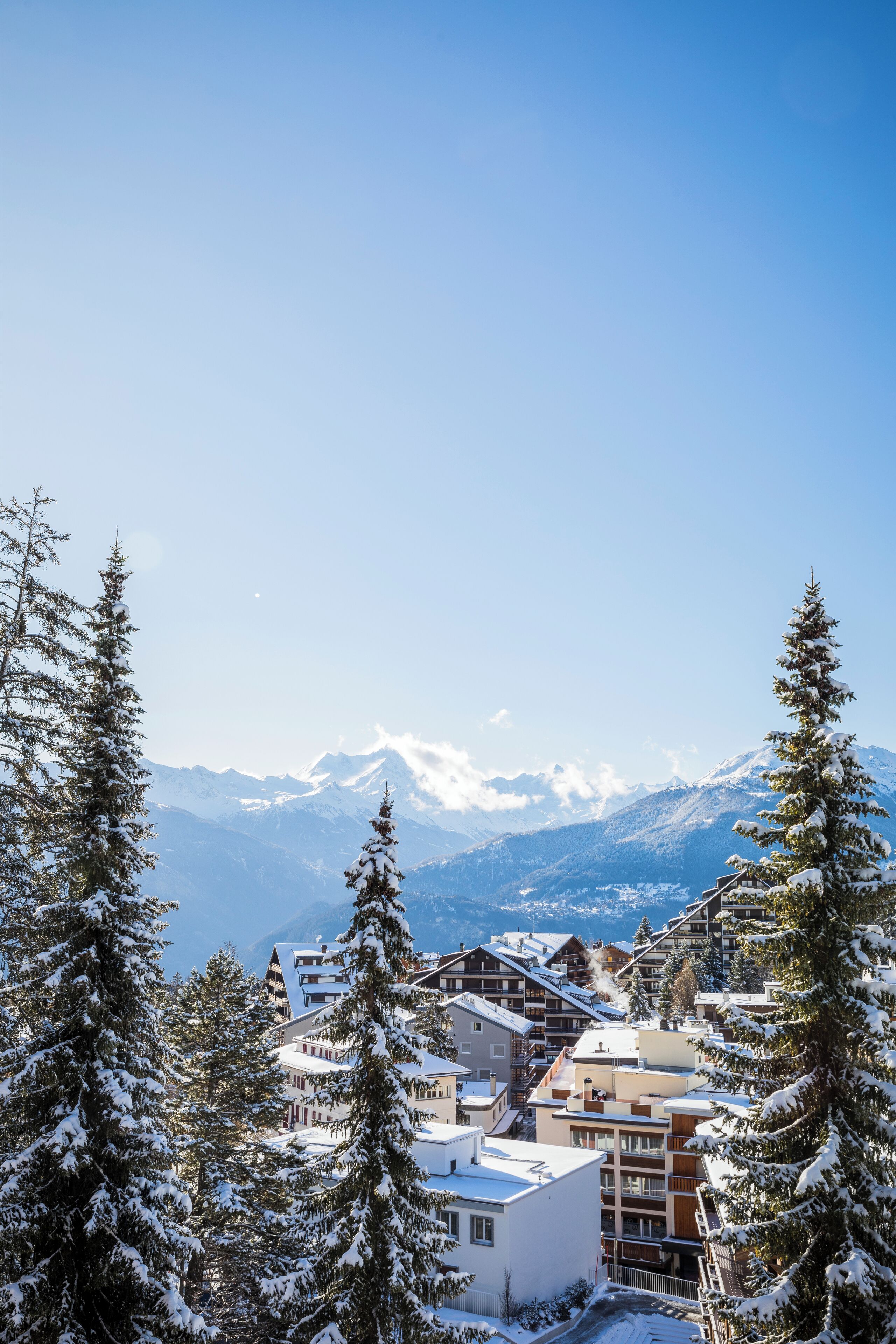 A snow-covered mountain town with buildings and snow-laden trees.