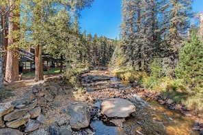 A stone bridge over a stream in a forested area with tall trees and a clear blue sky.