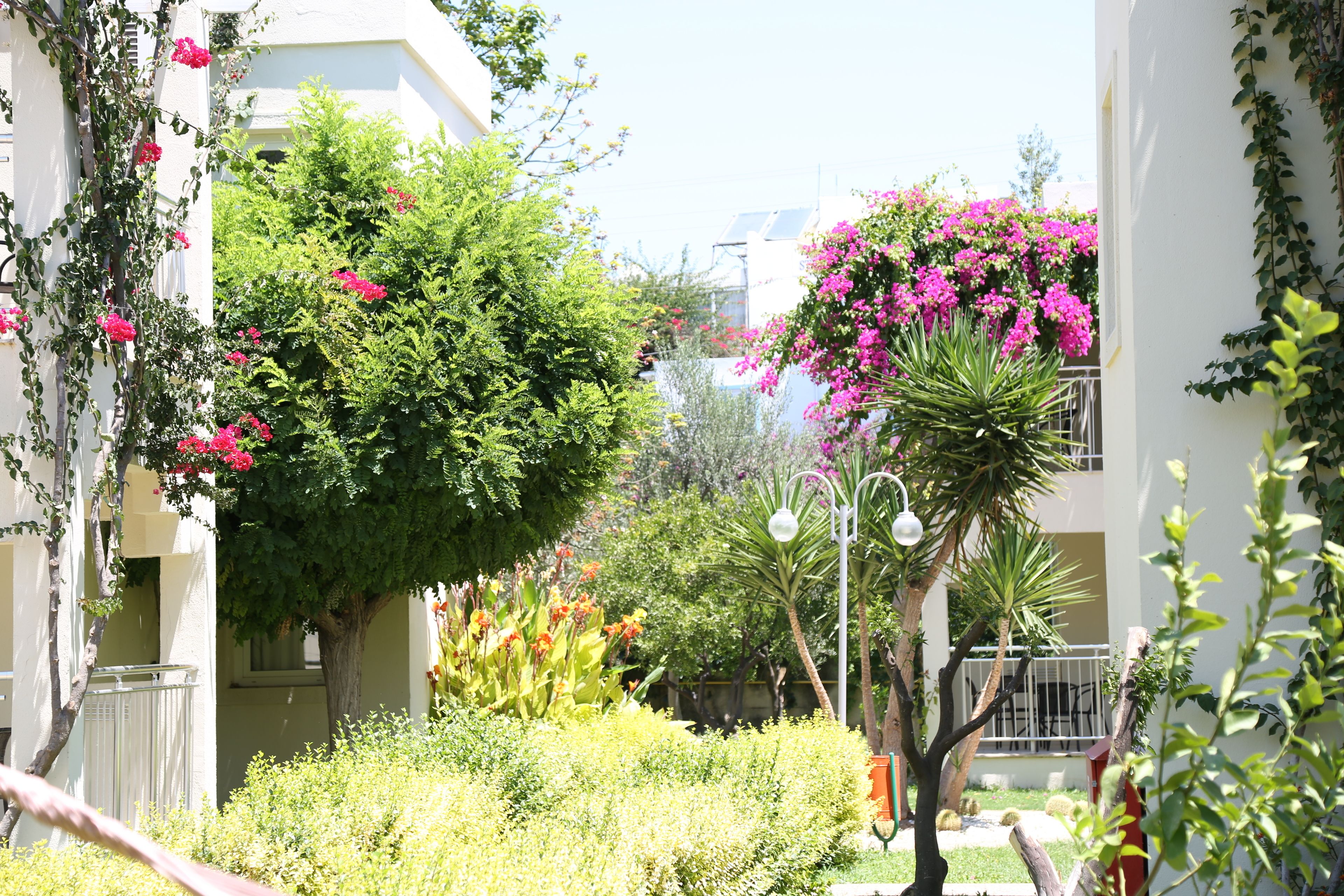 Photo - Mandarin Resort & Spa