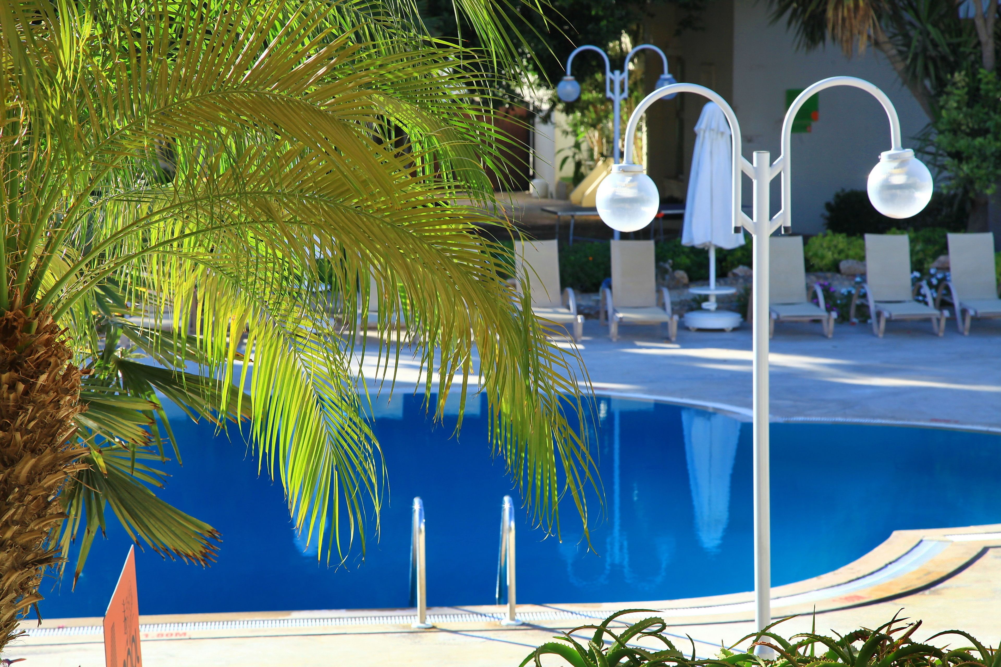A swimming pool with a clear blue water, surrounded by lounge chairs and palm trees.