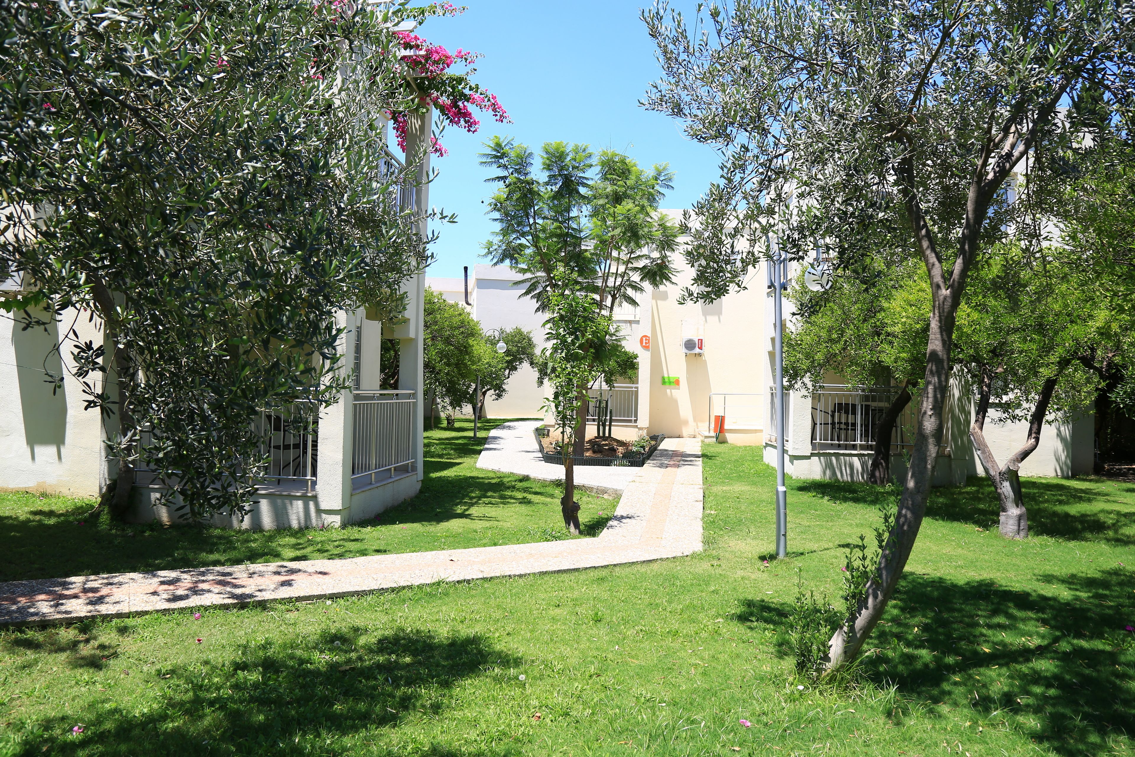 A courtyard with a pathway, trees, and buildings.