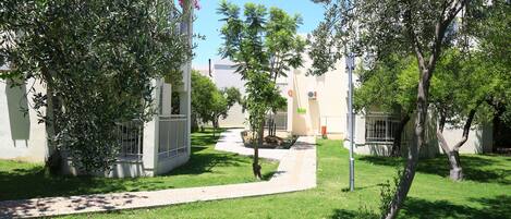 A courtyard with a pathway, trees, and buildings.
