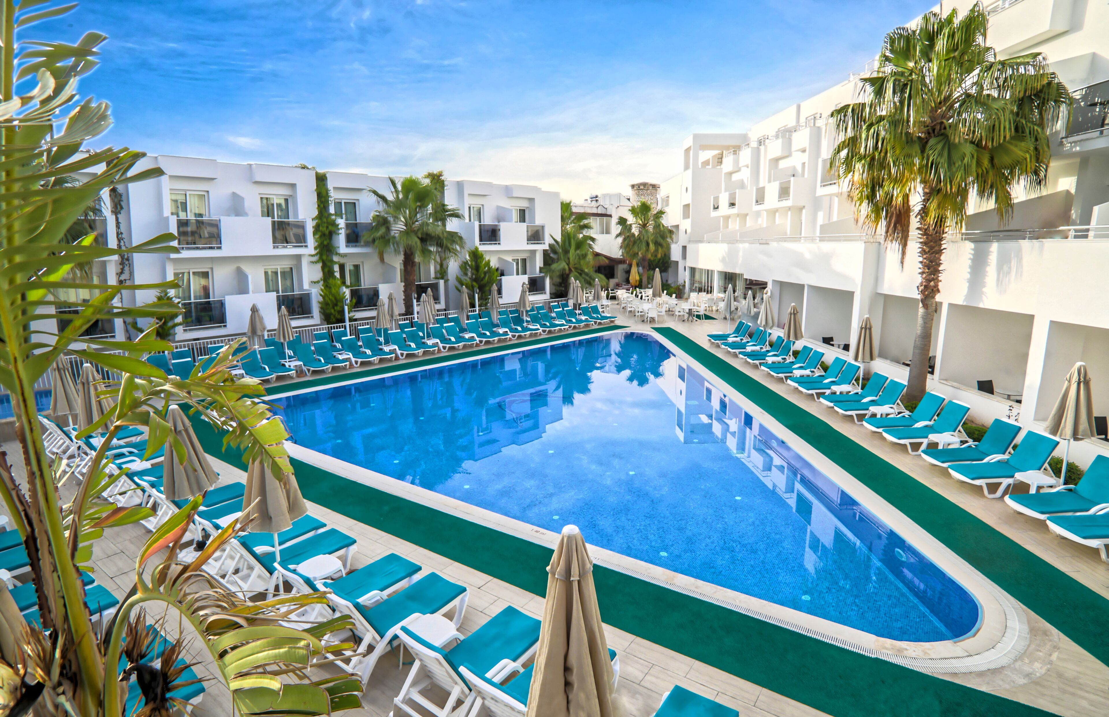Foto - Shark Club Hotel