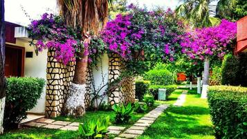 Habitación superior | 1 habitación, minibar y caja de seguridad en la habitación