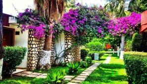 Stroll through the lush garden, surrounded by vibrant flowers and neatly trimmed hedges.