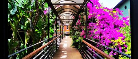 Standard Room | 1 bedroom, minibar, in-room safe, individually decorated