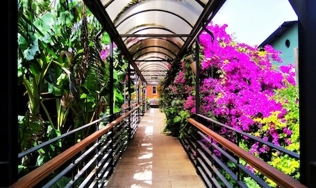 Kamar Standar | Minibar, brankas, dan didekorasi berbeda-beda