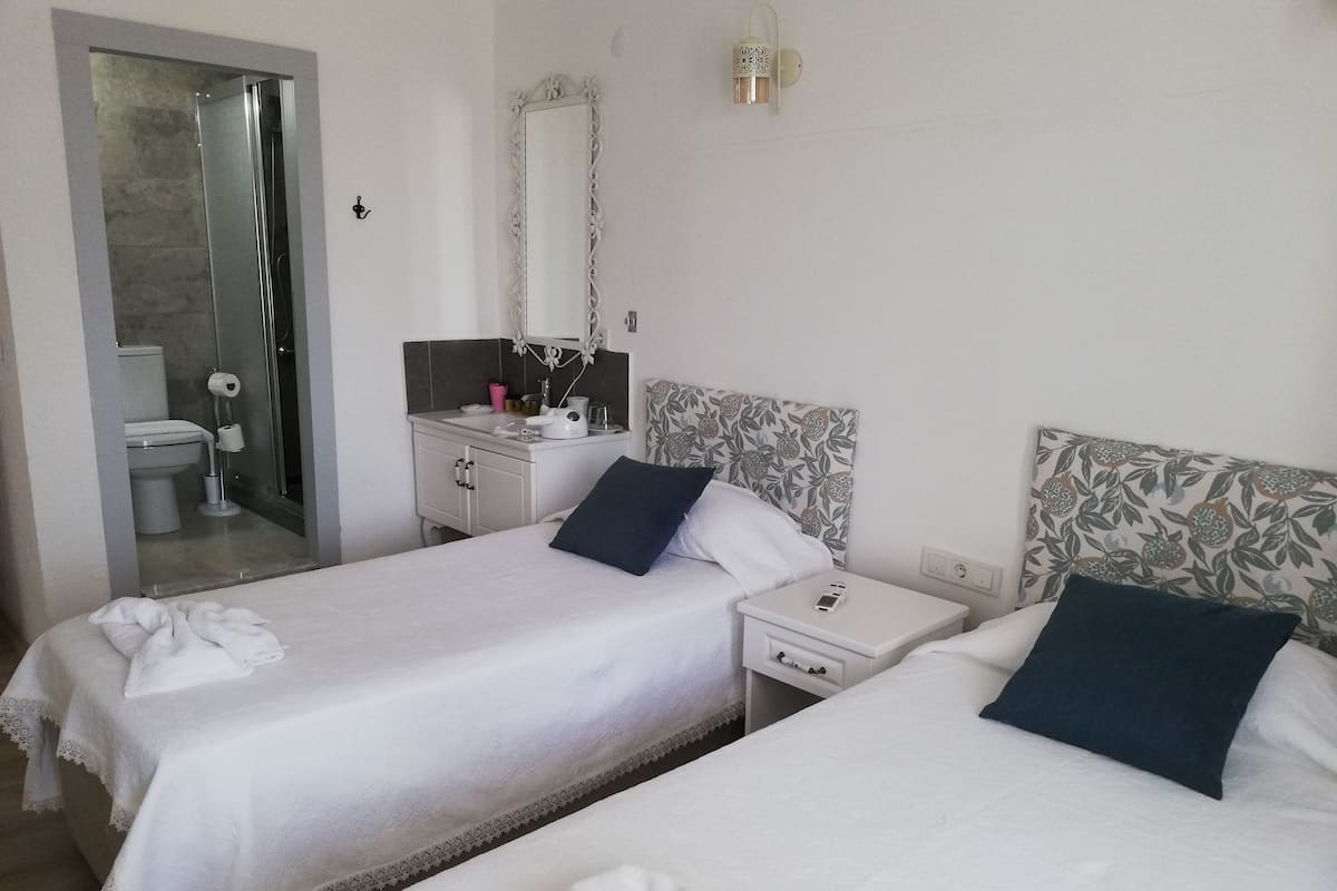 Panoramic Double or Twin Room