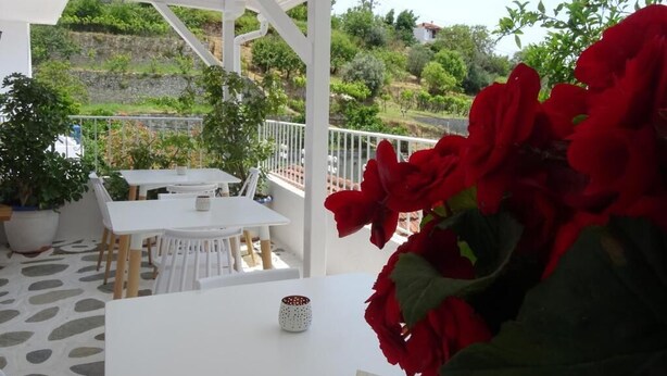 Terrace/patio - Villa Galini (Alonissos)