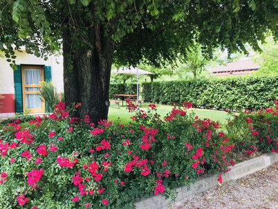 Residence Ca' dei Dogi