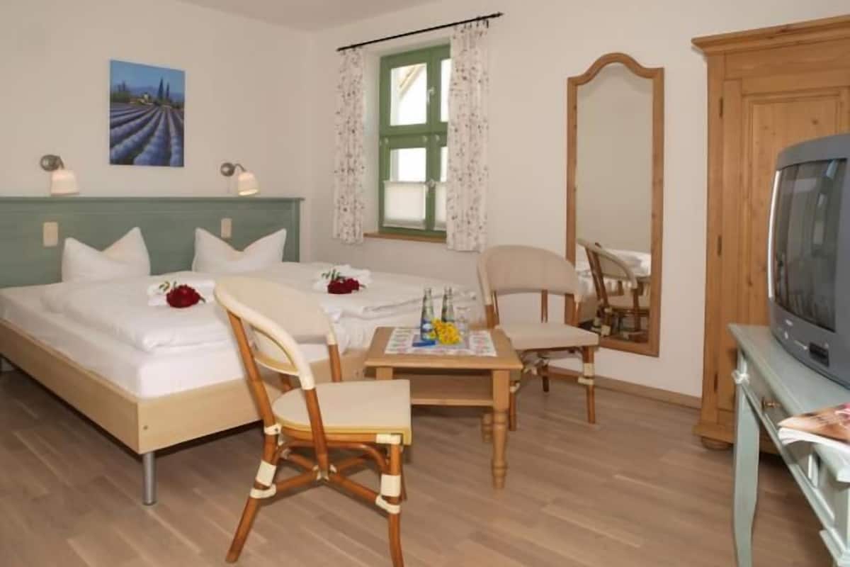 double room (wheelchair friendly) | desk