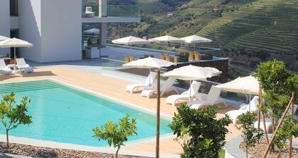 Delfim Douro Hotel