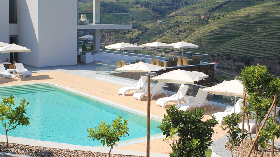Delfim Douro Hotel