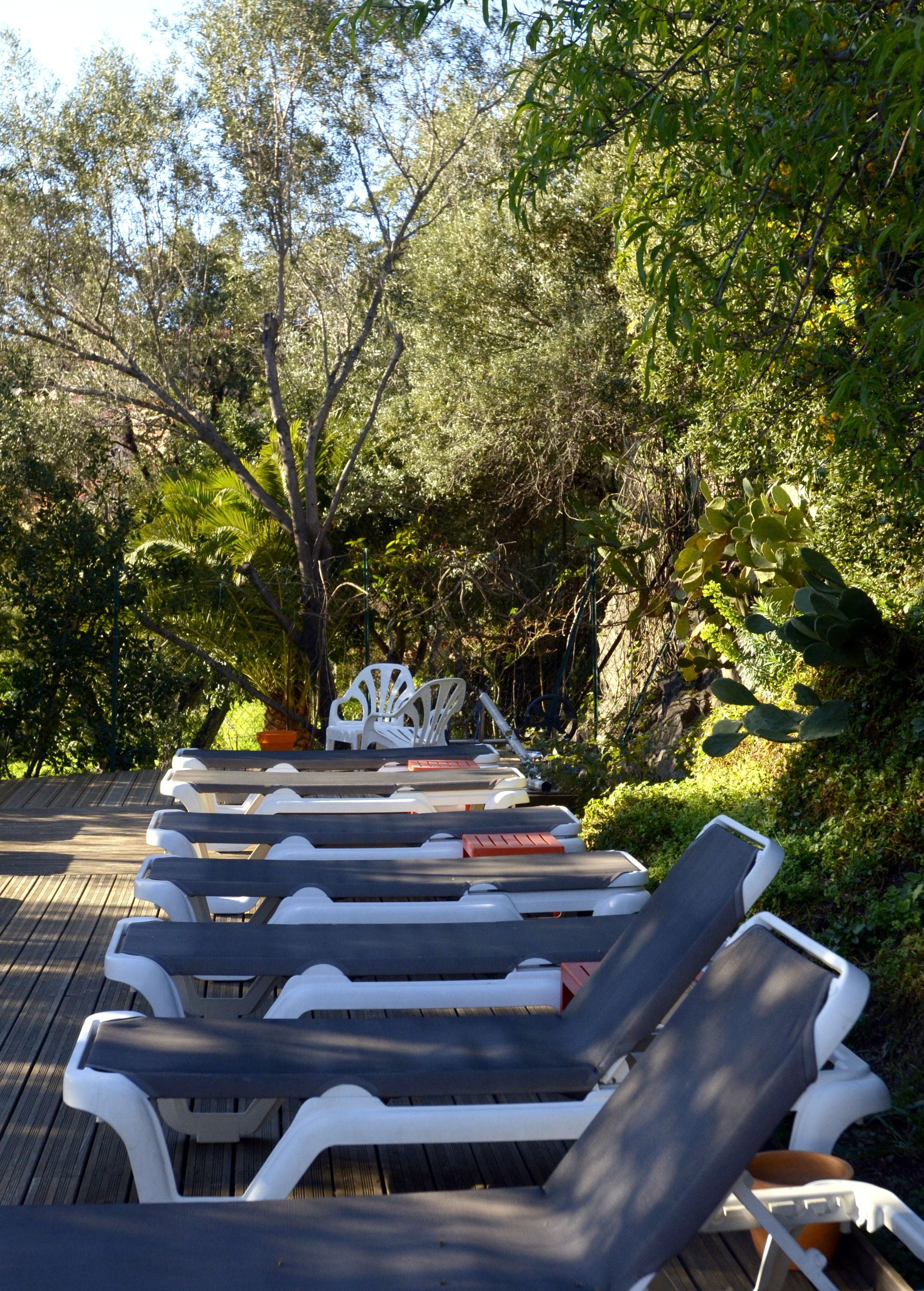 A row of sun loungers on a wooden deck surrounded by lush greenery.