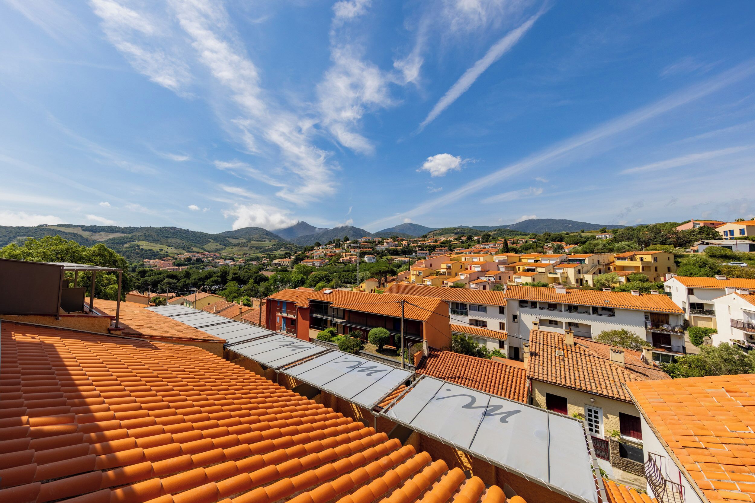 junior suite 2pax | mountain view