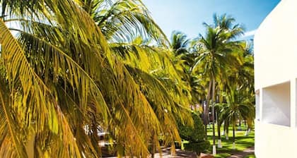 Hotel Pacific Paradise