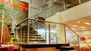 Un intérieur moderne avec un escalier en verre, des plantes d’intérieur et un coin salon.