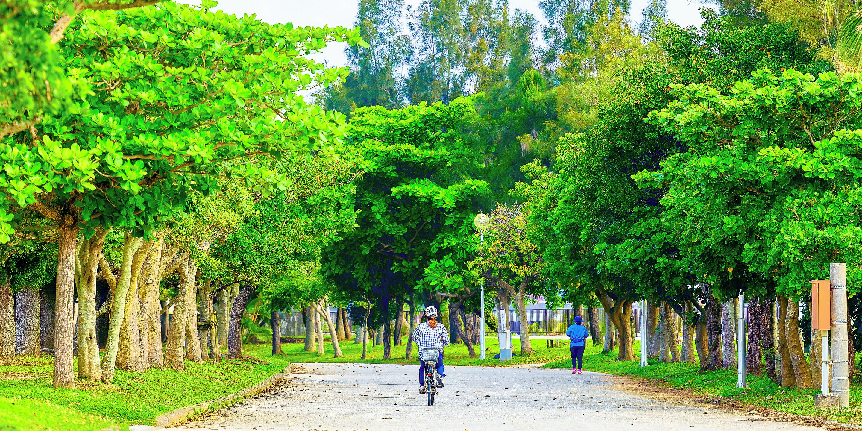 land view from property