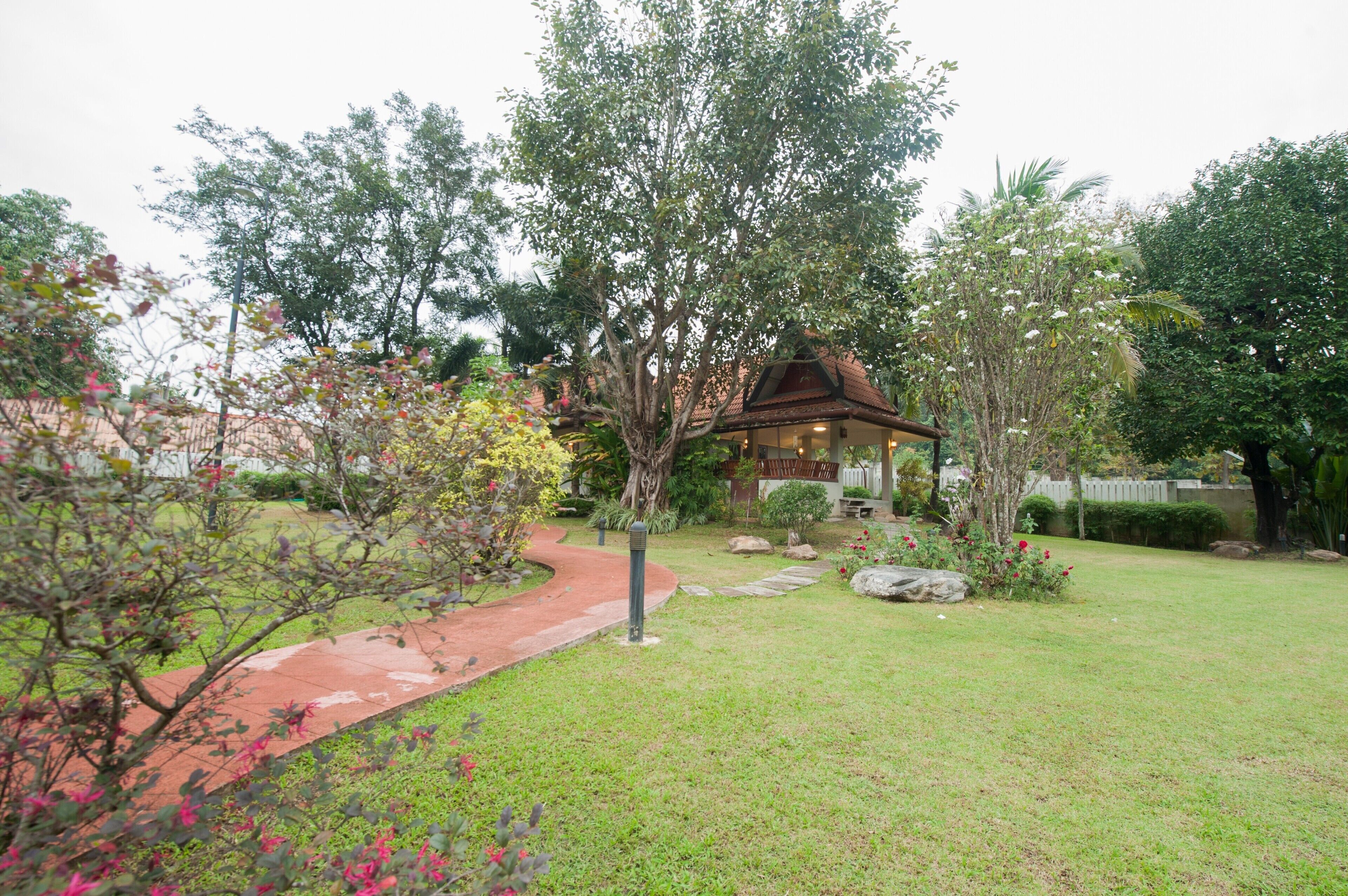 A garden with a pathway leading to a building with a tiled roof.
