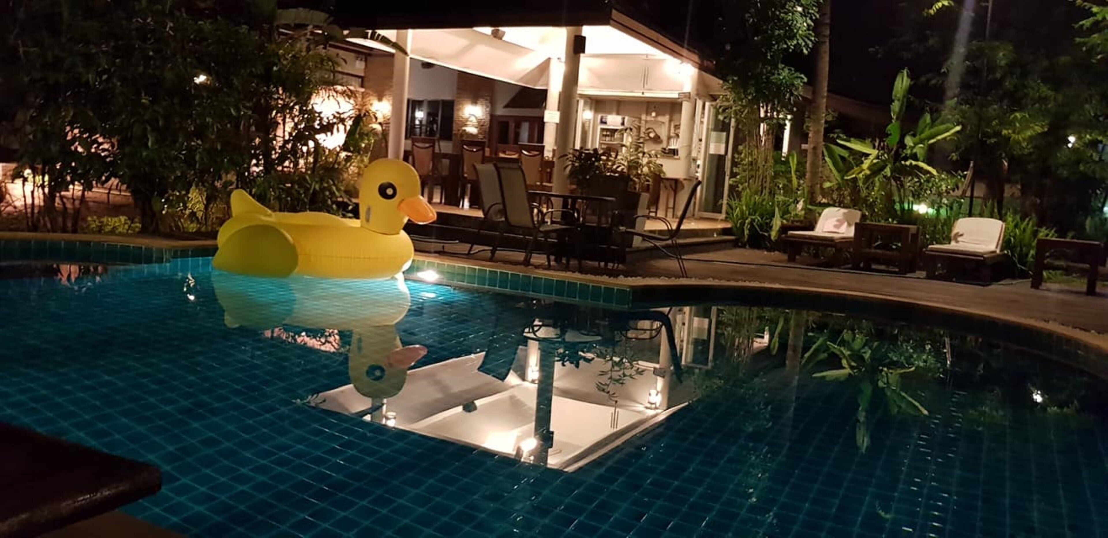 Outdoor pool, pool umbrellas, pool loungers