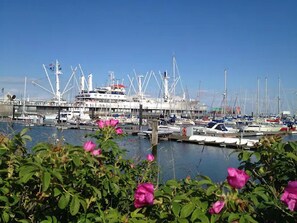 Bicycling - Moin! Hotel Cuxhaven (Cuxhaven)