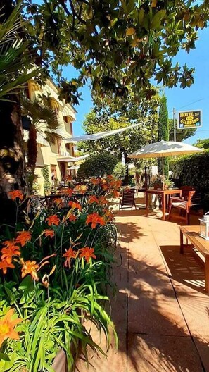 Exterior - Giardino (Camaiore)
