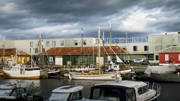 Uma marina com vários barcos atracados, um edifício com telhado verde e um edifício vermelho ao fundo.