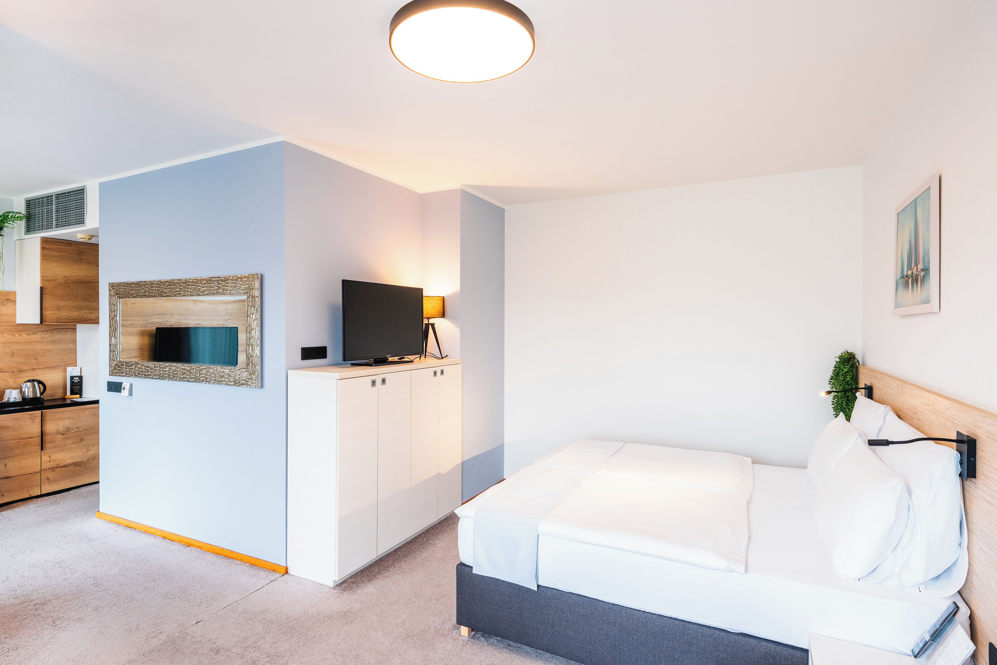 Een moderne hotelkamer met een bed, een televisie, een bureau met een lamp en een kleine plant.