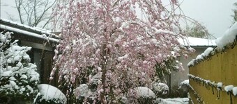 ฟูจิ-ฮาโกเนะ เกสต์ เฮาส์