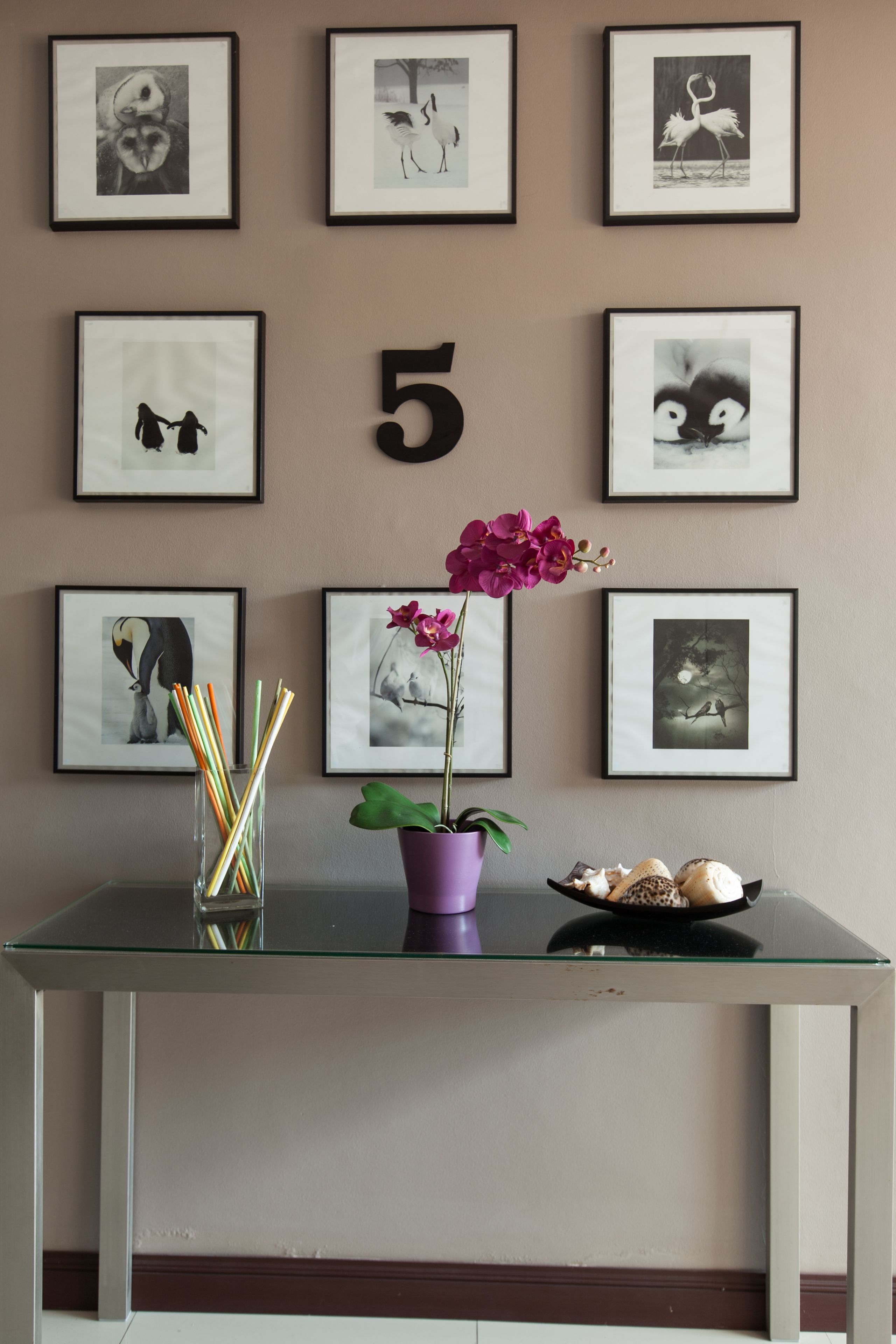 A wall with framed pictures and the number 5.